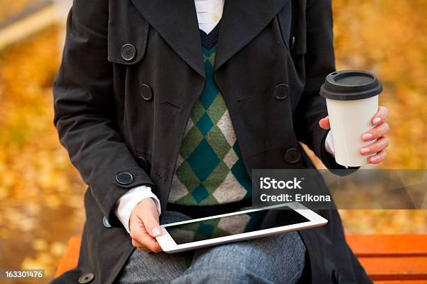 Foto de Mulher De Negócios Usando O Tablet Pc e mais fotos de stock de Mesa digital - Mesa digital, Monitor de computador, Outono