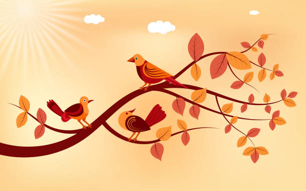 ilustrações, clipart, desenhos animados e ícones de pássaros coloridos sentados em árvores bonitas no fundo marrom - observação de pássaros