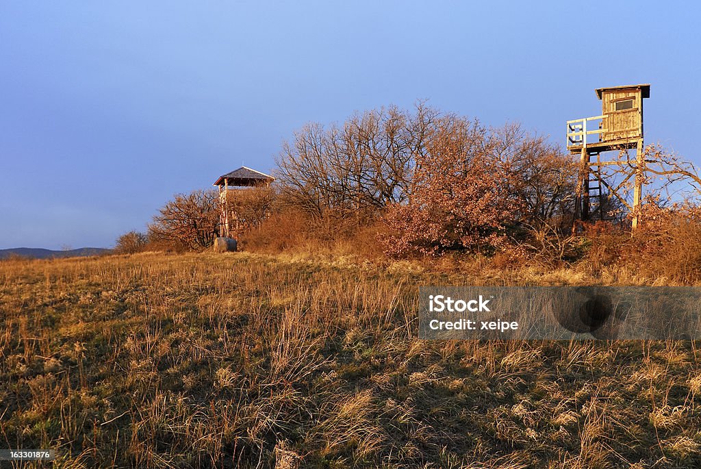 Mit hohem Stehkragen und hölzerne Wachturm in der Nähe einer Wiese - Lizenzfrei Burgenland Stock-Foto