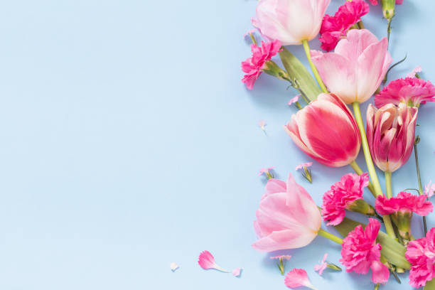 istock beautiful spring flowers on blue background 1633024746
