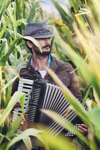 Photo of Man playing accordion in cornfield