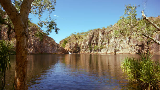 istock Lower pool with waterfall at Leliyn (Edith Falls, Nitmiluk), Northern Territory, Australia 1633052228