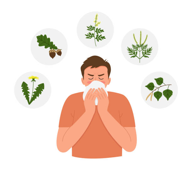 Allergy to bloom. Seasonal allergies. Boy with a runny nose and watery eyes. Symptoms of runny nose and cough. Allergy to bloom. Seasonal allergies. Boy with a runny nose and watery eyes. Symptoms of runny nose and cough. sneezeweed stock illustrations
