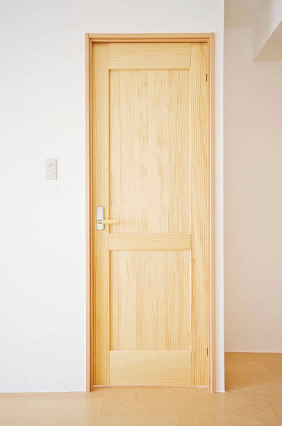 istock Wooden door 163310258