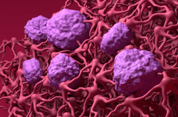 istock Blood-brain barrier BBB in the human brain - closeup view 3d illustration 1633111221