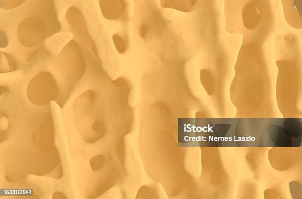 Bone Texture Normal Normal Bone Structure Front View 3d Illustration Stock Photo - Download ...