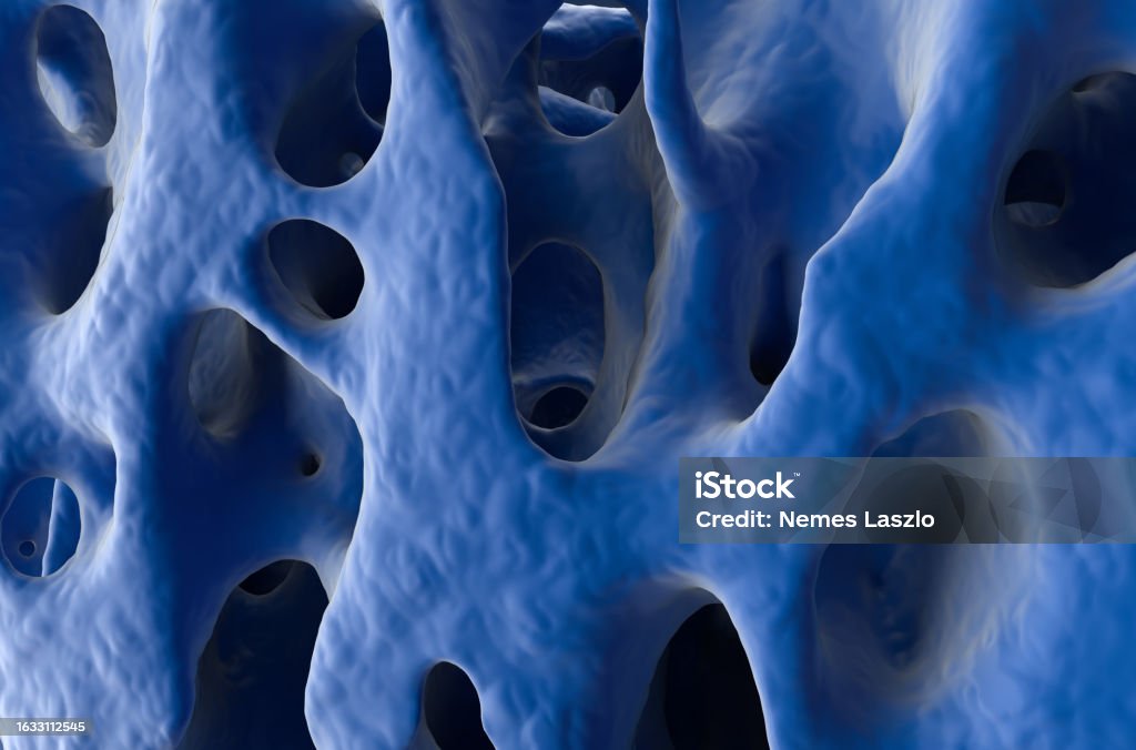 Normal Bone Profile Example Normal Bone Structure Isometric View 3d Illustration Stock Photo ...