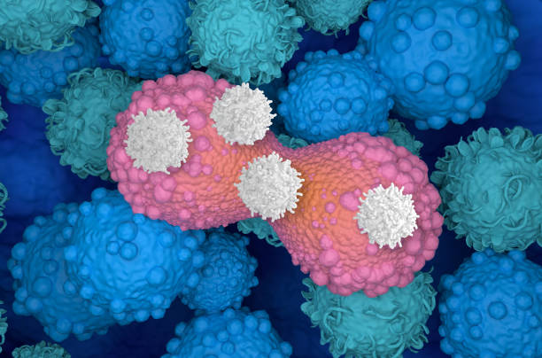 istock T-cells attack dividing breast cancer cell - 3d illustration 1633113100