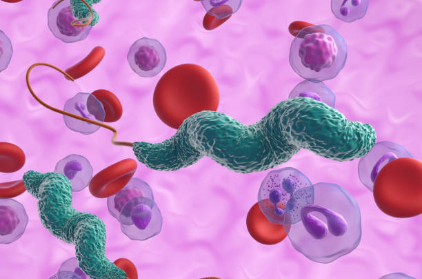 istock Campylobacter jejuni bacteria - 3d illustration closeup view 1633113688