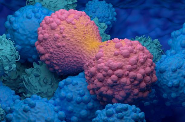 Dividing breast cancer cell - closeup view 3d illustration stock photo