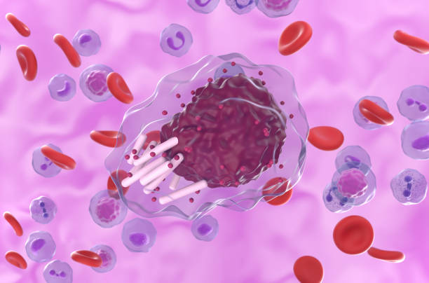 Chronic lymphocytic leukemia (CLL) cell in blood flow - closeup view 3d illustration stock photo