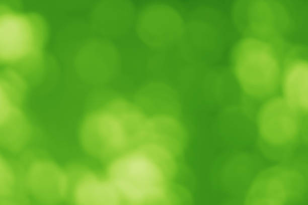 Green bokeh abstract, pattern of blurred bright light in natural background.