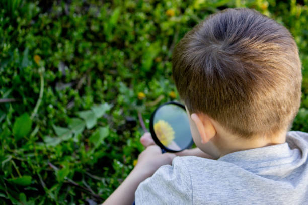 istock the boy looks at the flower through a magnifying glass 1633146397