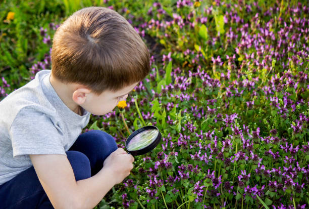 istock the boy looks at the flower through a magnifying glass 1633146413