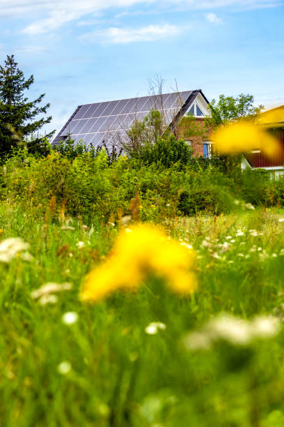 istock Houses with solar panels and flowers 1633154514