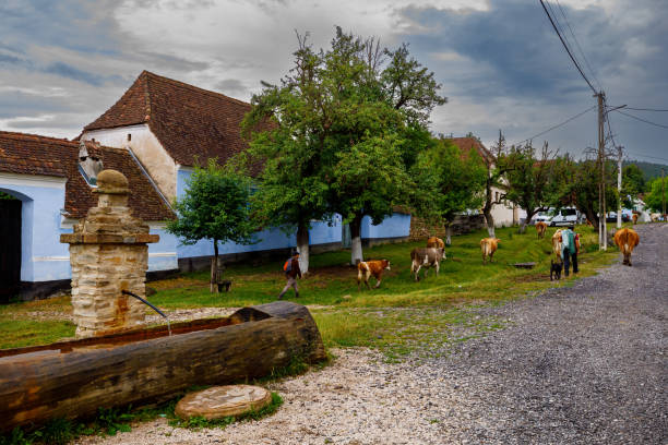 The Village of Viscri in Romania stock photo