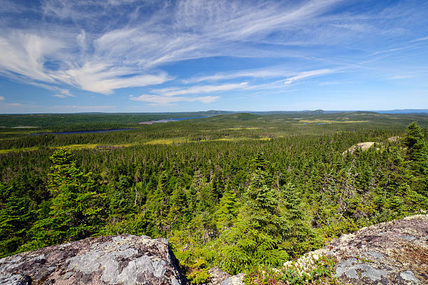 panoramablick vom berg top - terra nova bay stock-fotos und bilder