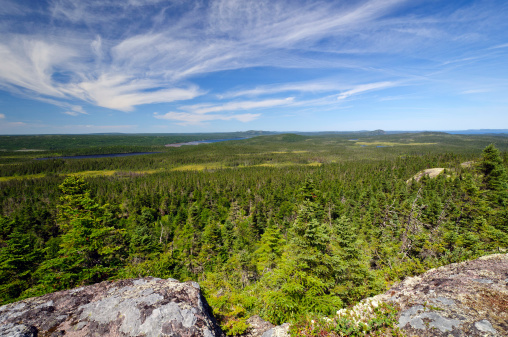 View from Ochre Hill in Terra Nova National Park