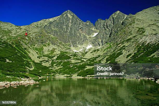 Skalnate Plesocity In Slovakiatarn Na Tatras Altas - Fotografias de stock e mais imagens de Agulha - Parte de planta