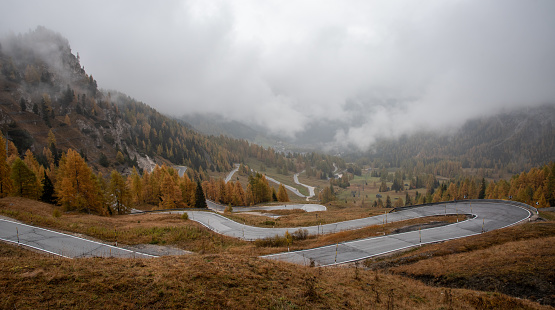 Autumn landscape with beautiful yellow and trees and curved empty road. Passo di falzarego dolomiti South Tyrol in Italy