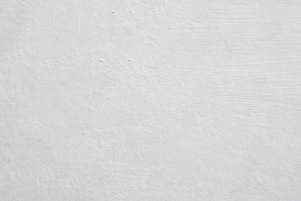 Surface of primed cardboard with white acrylic paint Grained surface of primed cardboard with white acrylic paint for oil painting. Fragment of a white wall as a background for posters and banners painted drywall texture stock pictures, royalty-free photos & images