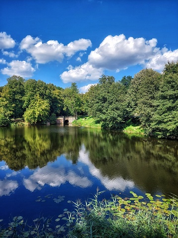 Grüne Parkanlage mit Teich unter blauem Himmel an einem sonnigen Tag im Sommer.