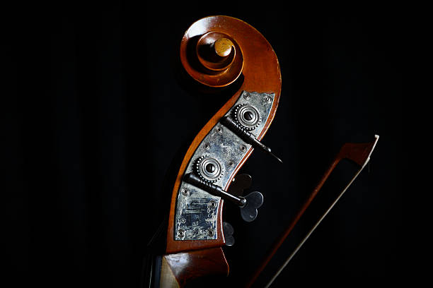 istock Vintage double bass head 163326475