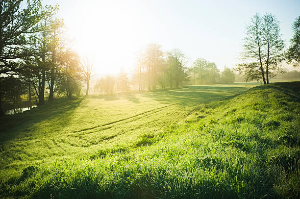 piękny przyrody - landscape field spring grass zdjęcia i obrazy z banku zdjęć
