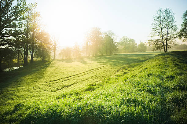 bela natureza - landscape sky field meadow imagens e fotografias de stock