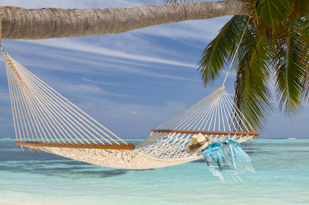 istock Net hammock by the sea on the beach 163327790