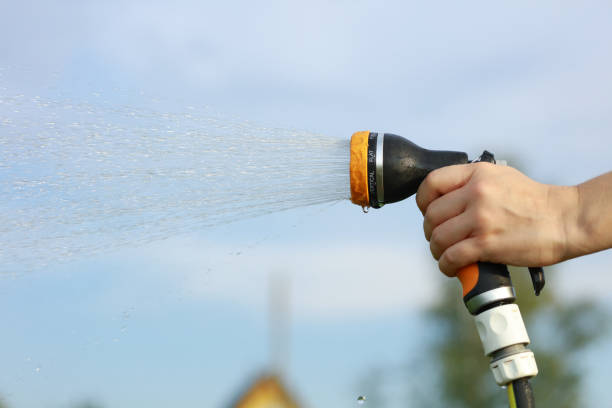istock the girl waters the garden 1633307326