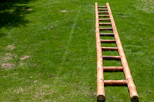 Bamboo ladder lay down in the grass