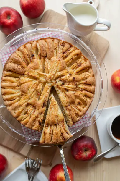 Homemade apple cake with sliced apples and cinnamon topping on light wooden and rustic table background. Top view
