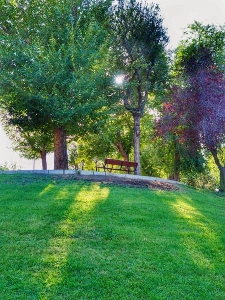 istock Bench in a public park in Madrid 1633317567