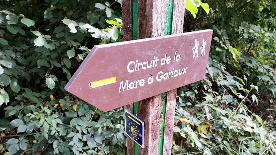 Signalisation pour circuit de randonnée, Mare à Goriaux, forêt wallers saint-amand-les-eaux raismes, Hainaut, Hauts-de-France