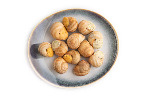 istock Grape (Burgundy) snails with butter and cheese isolated on white, top view 1633408628