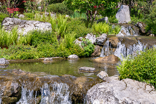 View of little waterfall in beautiful garden at springtime. Landscape background and wallpaper.