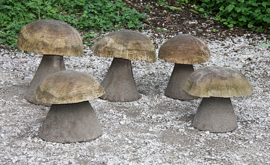Five Wooden Mushroom Seats at a Picnic Site.