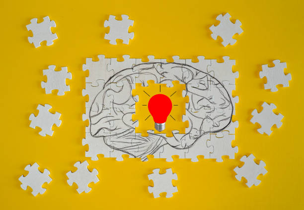 istock Business concept,idea,innovation,recruitment,human resources,start up.Light bulb a human brain and jigsaw puzzle pieces 1633429648