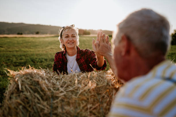 Happy family in the wheat field