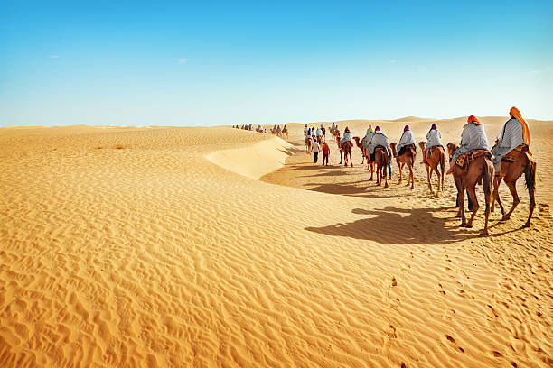 desierto del sáhara - journey camel travel desert fotografías e imágenes de stock