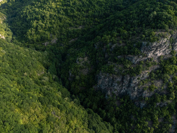 istock A look below over the forest and a big cliff in the valley. 1633486925