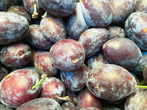 Close-up of fresh plums fruit