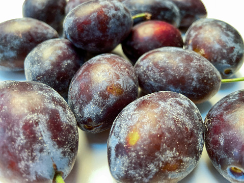 Close-up of fresh plums fruit