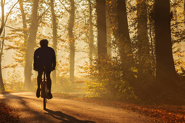 istock Silhouette of a biker in autumn 163349327