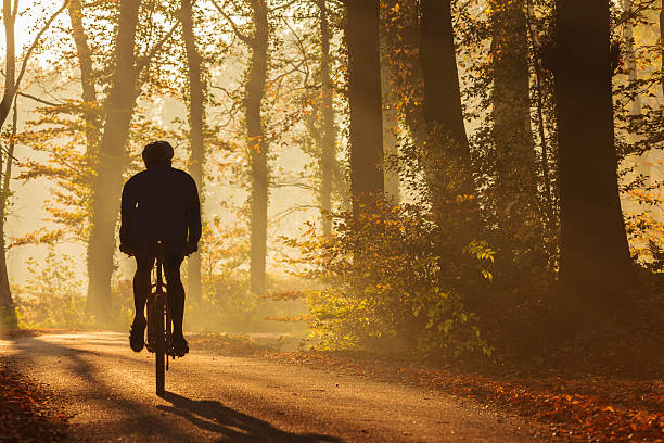 Silhouette of a biker in autumn Silhouette of a biker in autumn on a sunny afternoon gelderland photos stock pictures, royalty-free photos & images