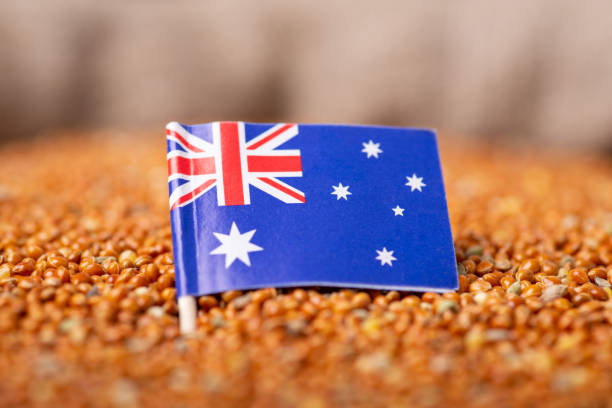 istock Flag of Australia on millet grain 1633495638