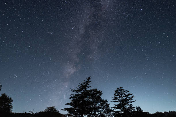 istock The Milky Way seen from the forest 1633506240