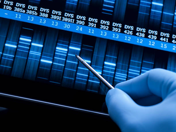 Genetic research at the laboratory DNA test sequence for research and science dna test stock pictures, royalty-free photos & images