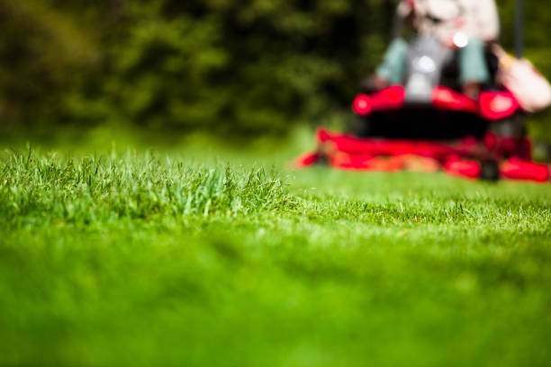 Man mowing lawn Gardener in the park on a lawn cutting tractor machine garden tractor stock pictures, royalty-free photos & images